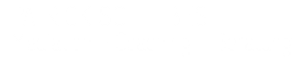Logo Patrick Schlebes | Mediation + Coaching + Beratung